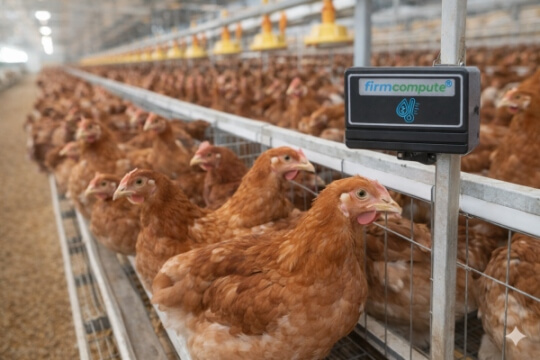 Broilers