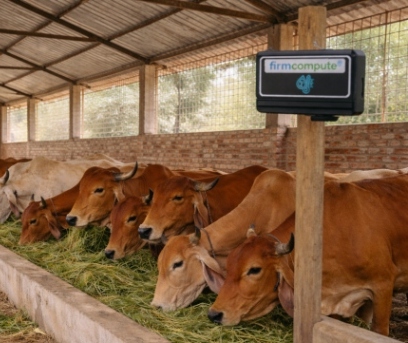 Desi Breeds